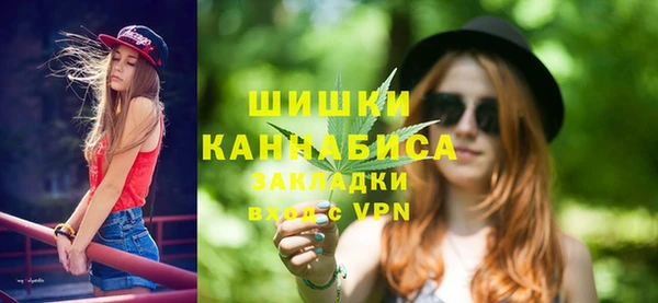 крисы Армянск