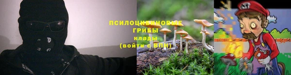 меф Арсеньев