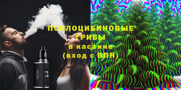 крисы Армянск