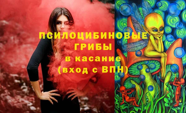 меф Арсеньев